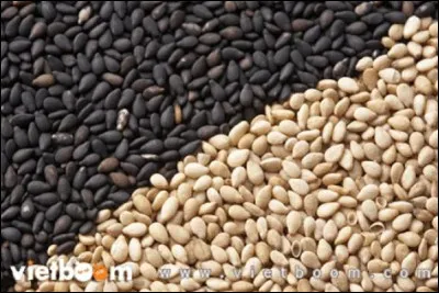 Trouvez le sésame !