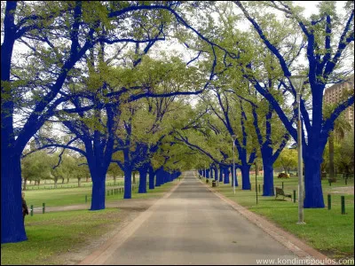 Où est née Natoo ?