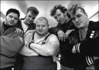 Quel groupe boit ''Du beaujolais'' pour oublier celle qui est partie ?