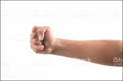 Complétez le texte suivant : 
"Les enfants se livrent une guerre sans merci à coups de ... et ... ".