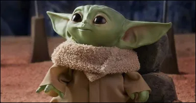 Un ''Bébé Yoda'' sauvage se présente ! Que fais-tu ?