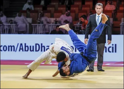 Quel art martial japonais se traduit litt&eacute;ralement par la "voie de la souplesse" ?