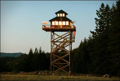 Dans les hauteurs, cette tour a une vue imprenable sur tout le massif montagneux ! Deux gardes-forestiers sont présents en permanence et donnent l'alerte à la moindre petite fumerolle. 
De quel type de tour s'agit-il ?