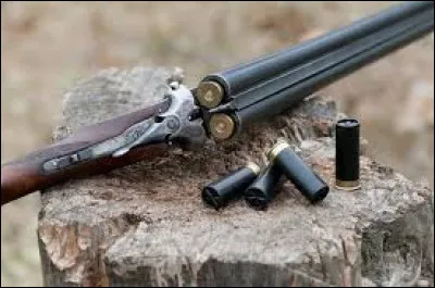 Je me demandais, à quel film correspond cette photo ?