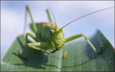 Si tu as bien vu ce film tu devrais trouver. À quel film te fait penser cette photo ?