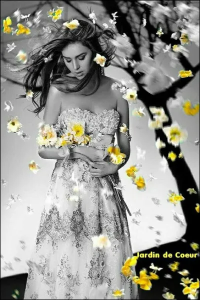 Quelle robe allait mettre Sylvie Vartan pour aller danser ?