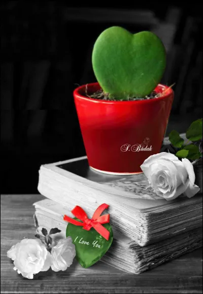 Qui a écrit le conte "Les Habits neufs de l'empereur" ?