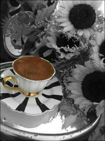 Mais je n'ai rien à manger ! Que vais-je finir par faire ?