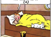 Quiz Tintin, les pieds dans les couvertures (4)