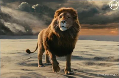 On ne verra pas Aslan de tout le film.