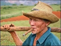 La teneur en nicotine d'un cigare peut tre jusqu' 30 fois plus leve que celle d'une cigarette.