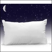 L'oreiller fut invent par l'anglais Steven Grown en 1742 lors d'une brocante parisienne.