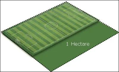 Combien de mètres carrés fait un hectare ?