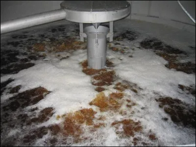 Quelle est la première étape du processus pour transformer les matières premières en bière ?