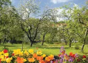 Quiz Le printemps en 10 questions