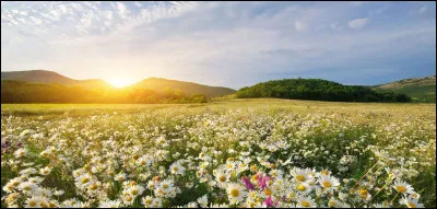 Que signifie ''printemps'' (du latin 'prins' et du mot 'temps') ?