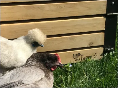 Vous &ecirc;tes plut&ocirc;t de nature...