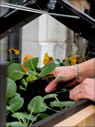 Quel est votre plaisir gourmand pr&eacute;f&eacute;r&eacute; ?