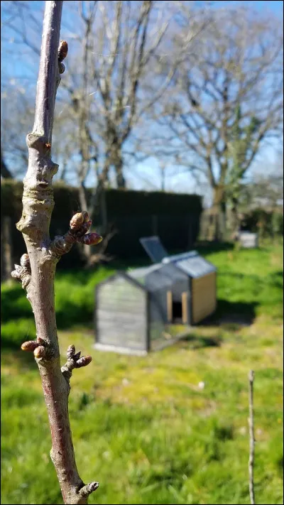 Quelle est votre saison pr&eacute;f&eacute;r&eacute;e ?