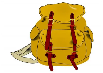 Lors d'une éruption, je dois rassembler le nécessaire, c'est-à-dire...
(2 réponses)