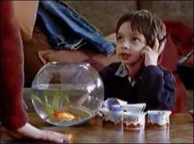 Quel film n'est pas de Henry Hathaway ?