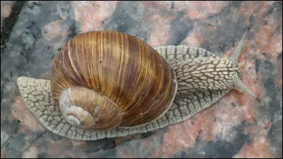 Quel pays a pour véritable nom " "Vénérable Lieu" ?