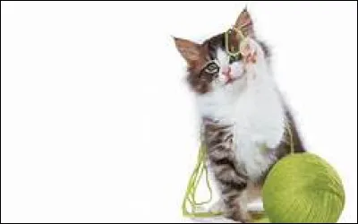 Ton jeu préféré est :