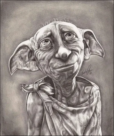 En quoi consiste l'association S.A.L.E ?