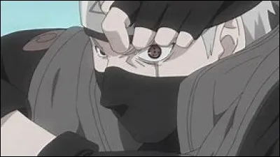 Combien de techniques Kakashi a-t-il copiées ?