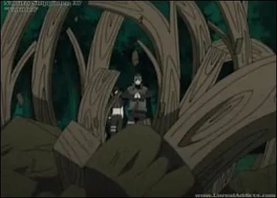 Quels sont les éléments nécessaires pour utiliser le Mokuton ?