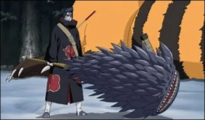 Kisame possède une épée bien particulière. Comment s'appelle-t-elle ?