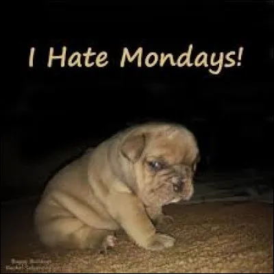 L'image vous guidera vers la bonne réponse !