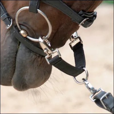 Comment sait-on que le filet est bien ajusté ?