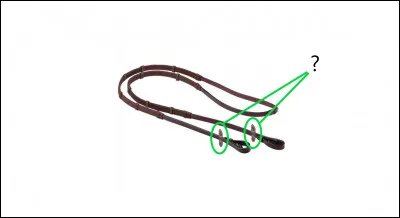 Comment s'appellent les 2 morceaux dépassant de chaque côté des rênes entourés sur la photo ?