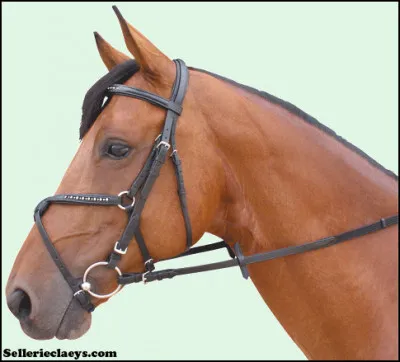 Quelle est cette muserolle ?