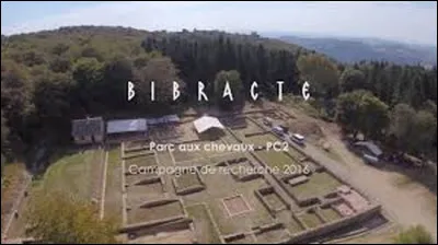 Pourquoi l'un des quartiers de Bibracte s'appelle-t-il le Parc aux Chevaux ?