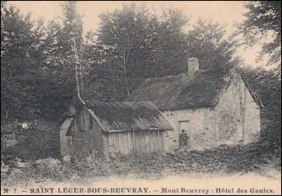 Pourquoi Bulliot a-t-il baptisé sa maison l'Hôtel des Gaules ?