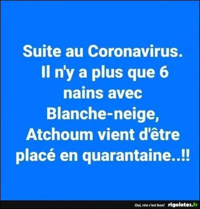Insecte coléoptère à corps allongé et à longues pattes, très utile à l'agriculture, par les insectes et vers qu'il détruit !