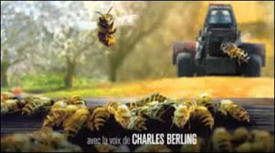 Retrouvez le nom de ce documentaire !