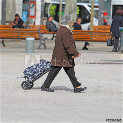 Une personne âgée veut traverser la rue avec une tonne de courses en main et a besoin d'aide. Que fais-tu ?