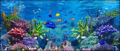 Il reste 5 litres d'eau dans l'aquarium. On y ajoute un seau de 15 litres et un seau de 13 litres. Combien en contient-il maintenant ?