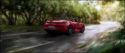 La Porsche est une voiture :