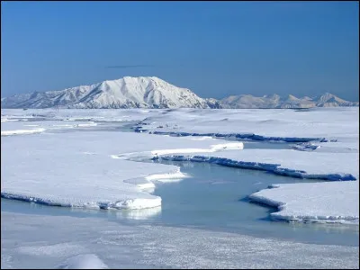 Dans les territoires de la future Allemagne, la Révolution de 1848 est également appelée "La Révolution de/d'...".