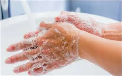 N'oubliez pas de vous laver ______ pour éviter d'attraper le virus.