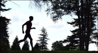 Vous pourrez toujours sortir seul promener votre chien ou encore faire votre petit :