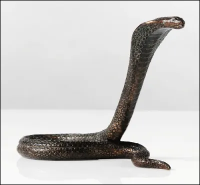 Tu meurs de faim, tu dois manger quelque chose, que mangeras-tu ?