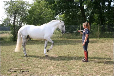 Le pas espagnol est une sorte de pas...