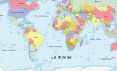 Où Squeezie a-t-il acheté son chien ?