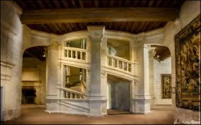 Léonard de Vinci a conçu un escalier à double révolution qui se trouve dans le château de Blois.