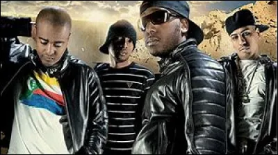 Ce groupe de rap est composé de Alonzo, Vincenzo, ses , Sya Stiles l'ami d'enfance de Soprano et lui-même. (Complétez)